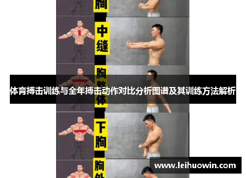 体育搏击训练与全年搏击动作对比分析图谱及其训练方法解析